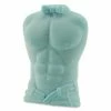 Bachelorette.com Decorations Sexy Male Stripper Soap - Smells Fresher Than Strippers